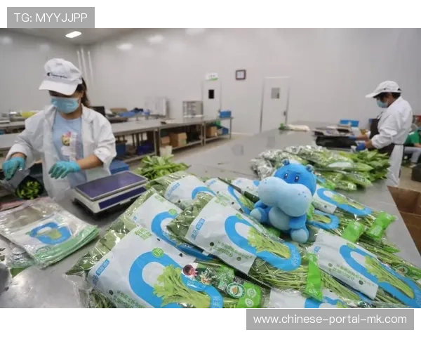 个性化观赛订阅模式兴起 平台依据用户偏好动态组合信号流